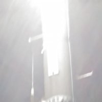 牛丼 (@271e828182846) 's Twitter Profile Photo