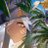 aranikku's profile image