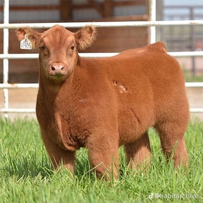 Aloyporridge's profile picture. my unmatched perspicacity coupled with my sheer indefatigability makes me a feared opponent in fortnite