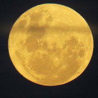 Mirta (@mnberton) 's Twitter Profile