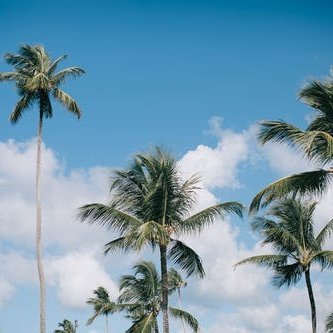 Billyr2215's profile picture. Los obstáculos en la vida nos hacen madurar, los éxitos nos hacen reflexionar, y los fracasos nos hacen crecer.