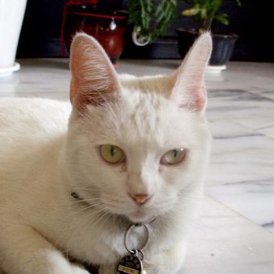 AFEISAM's profile picture. Unityを使ったゲーム開発
DLsite :https://t.co/kFIw3Sxfos
itch:https://t.co/kwfbodNOBg