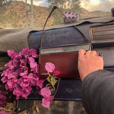 - السهر والموسيقى والأغاني مذهبنا، نحن المنسّيون على أعتاب الحياة.