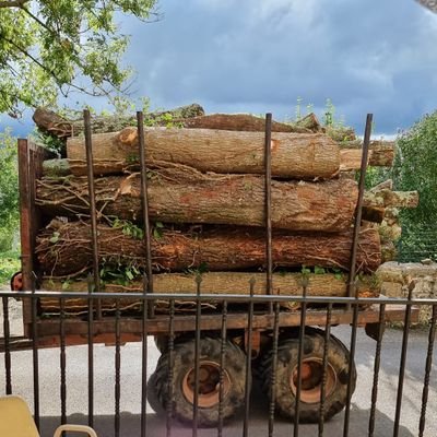 Iaket's profile picture. 