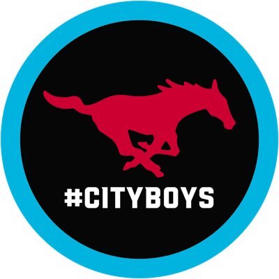 Queen City Mustangs American Legion Baseball Profile