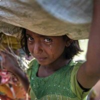 اليمن اولا" (@aliahmaed) 's Twitter Profile