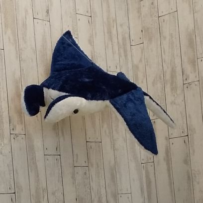 moon2ocean1's profile picture. 現在手渡しが難しいため、郵送での取引多め。お日にち要相談。
基本郵便局窓口からの定形外発送　ゆうちょ対応