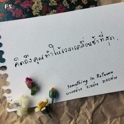 op17786888's profile picture. 