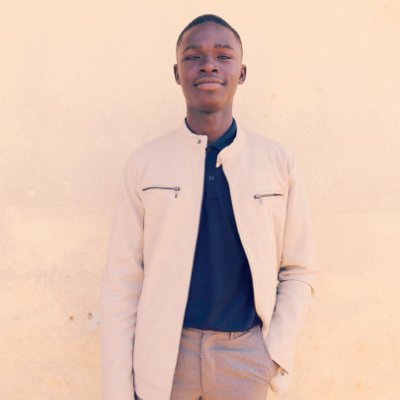 Levybenie02's profile picture. Flutter Developer