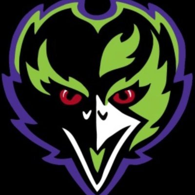 _HSRavens's profile picture. 