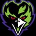 Hobe Sound Ravens (@_HSRavens) Twitter profile photo