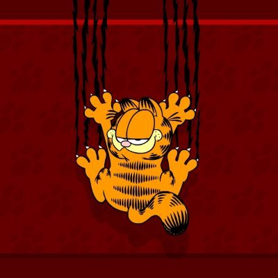 _0xnoize's profile picture. IT Security