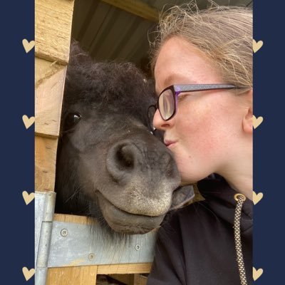 craze_jayne's profile picture. I like horses and love my friends and family