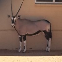 John (@brandon13904780) 's Twitter Profile