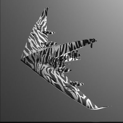 Cryptoleystan's profile picture. Private Tutor, Private Pilot