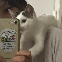 ロン (@onakasiroi) Twitter profile photo