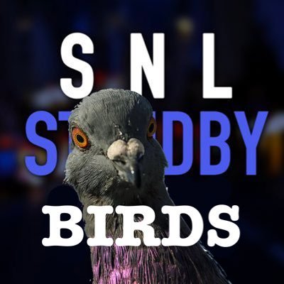 Your #1 weekly source for #SNL & #SNLStandbyLine bird news, cut bird sketches, & behind the scenes birds. Not a podcast. Birds aren’t real.