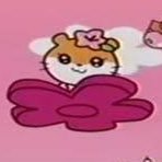 anpan_0_0_'s profile picture. 