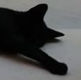 caioさんのプロフィール画像