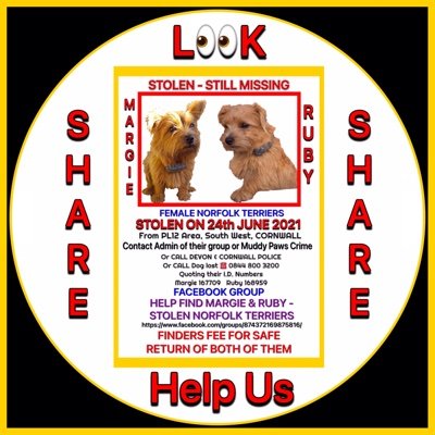 Here to help reunite STOLEN MISSING dogs with owners
Trying to help stop theft of animals
Animal lover, big hearted, care for others, against bullying