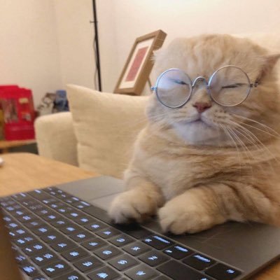 himawariacount's profile picture. 23歳（02）.LINEのみ.18禁NG.isfp-t、FCRO