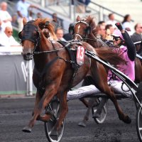 Bazire Nicolas (@nicolasbazire7) 's Twitter Profile