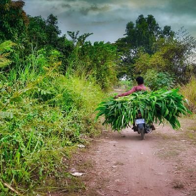 RyanChe52145317's profile picture. You are important enough to ask and you are blessed enough to receive back🏃