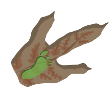 greenspeake's profile picture. Greenspeake Communications and Services works with firms and organizations on sustainability solutions and communications for the new era.