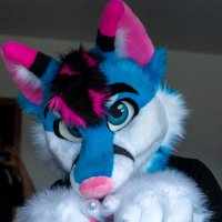 Pako (@pakofur) 's Twitter Profile Photo Pako (@pakofur) 's Twitter Profile Photo