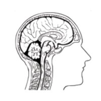 The Canadian Society of Neuroradiology (@thecsnr) 's Twitter Profile