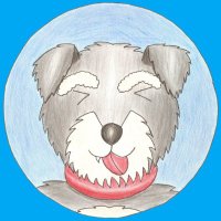 犬の尻尾 (@inunoshippo11) 's Twitter Profile