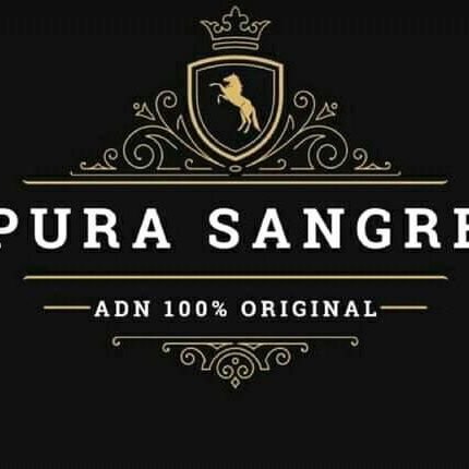 PotreroMusical's profile picture. Musico de nacimiento

WhatsApp  +5493446319930

Facebook/potrerocultural