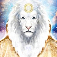 Crypto Lion Power(@cryptolionpower) 's Twitter Profile Photo