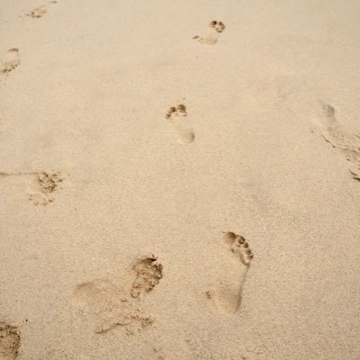 octobereightth's profile picture. 