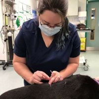 Jenny Bowen-Smith (she/her) (@jeclsm) 's Twitter Profile Photo Jenny Bowen-Smith (she/her) (@jeclsm) 's Twitter Profile Photo