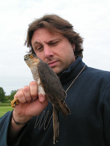 Clandestine Hippy; not a proper doctor; professional bird wrangler. Supports SRU, NUFC, Offaly hurling & wildlife. Tweets are his...