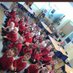 Mrs R Tash (@hgpamrsrtash) Twitter profile photo Mrs R Tash (@hgpamrsrtash) Twitter profile photo