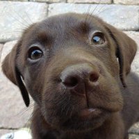 John Johnson (@fasttracker17) Twitter profile photo