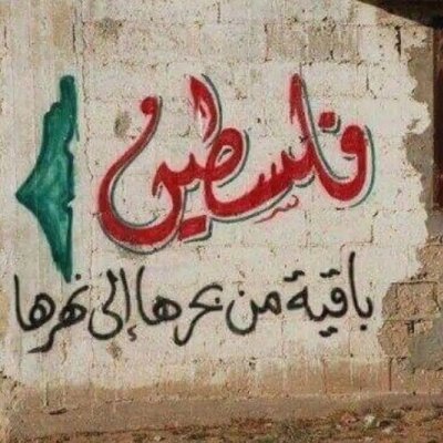 مصيبتنا في القضية الفلسطينية من بين اسبابها الأمم المتحدة التي أقرت بوجود هذا المحتل الصهيوني واستمراره على أراضي فلسطينية، ومن ثم تصمت على كل ما يرتكبه العدو.