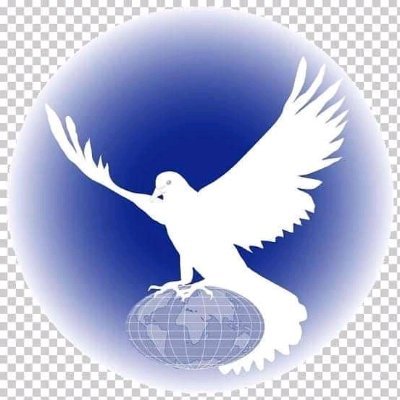 WafulaAbuu's profile picture. Remember Lots Wife!