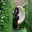 _titiblak's profile image