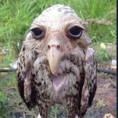 gabiseong's profile picture. 현성 is the reason why I exist! @HS_930609
Boyfriend  Bestfriend

어두워진 내 주변을 너로 밝혀 🌟