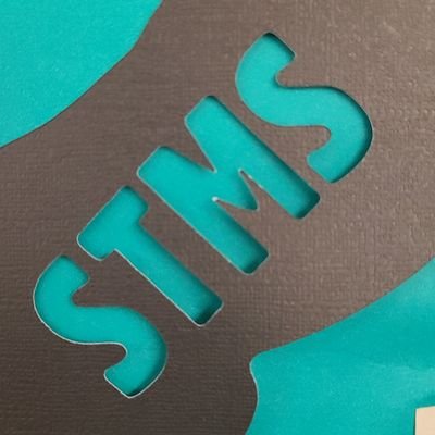 STMSpeertopeer's profile picture. 