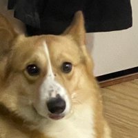 Jonas (@jonas21506053) 's Twitter Profile