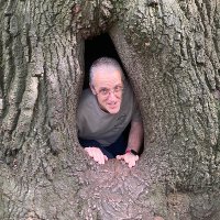Simon Martin: @simonmartin@mas.to (@drsimonmartin) 's Twitter Profile