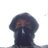 Stefan1889's profile image