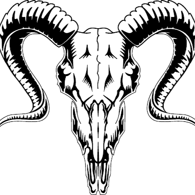 hvitzerk17's profile picture. 