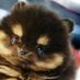 emmkai5 (@emmkai7) Twitter profile photo