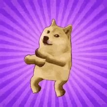 Harshit54382726's profile picture. BE STICK TO YOUR OWN BACKGROUND.