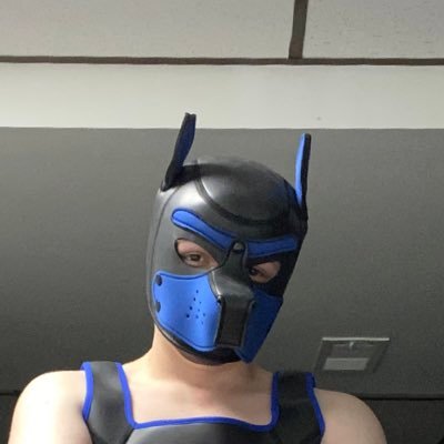 Hello I’m pup Johnny! I’m 21 Years Old I’m a really friendly and Caring pup! feel free to follow and send a dm